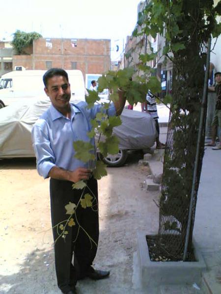 omar mio